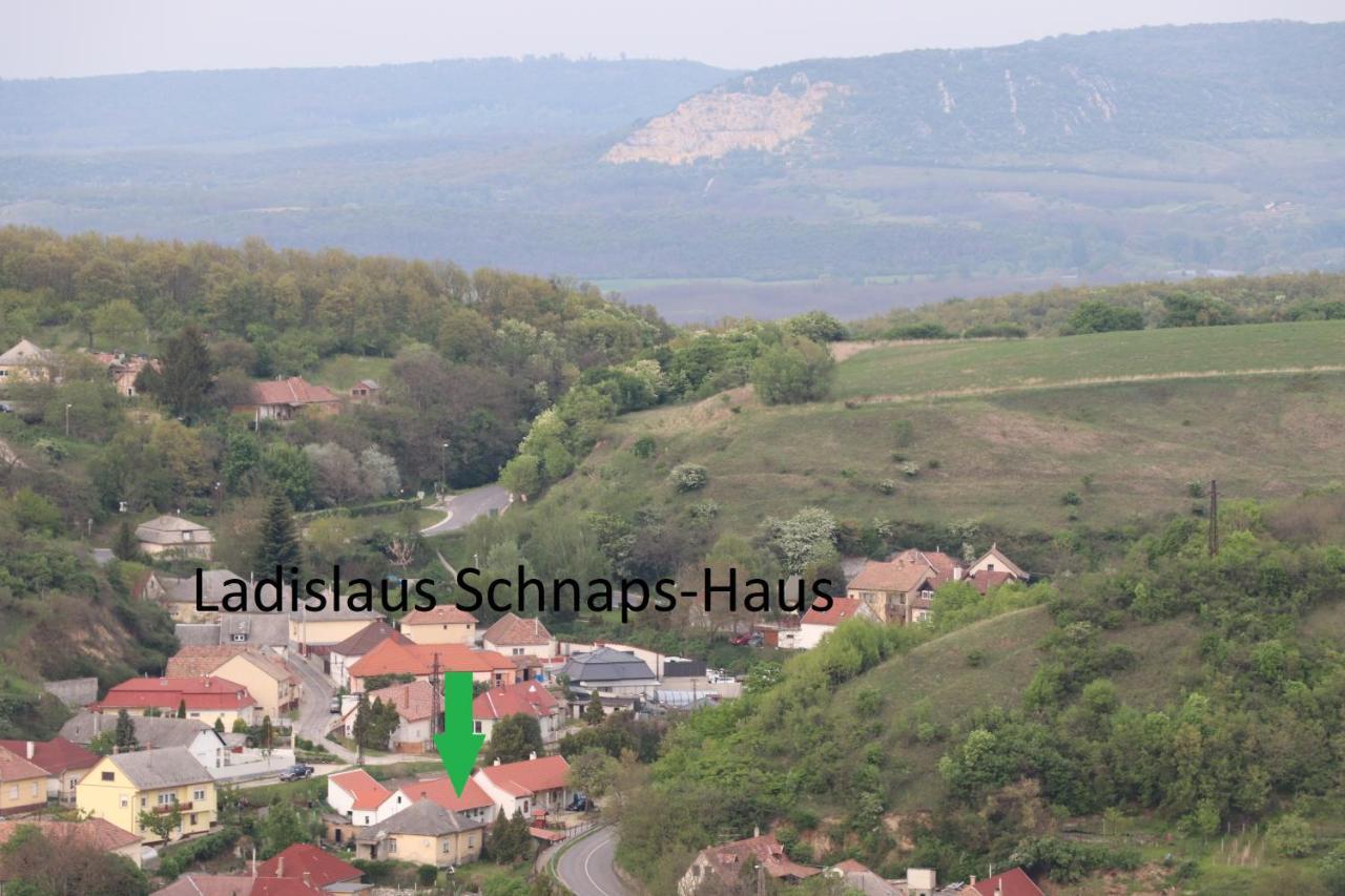Ladislaus Schnaps-Haus Falusi Vendégház Csolnok Extérieur photo