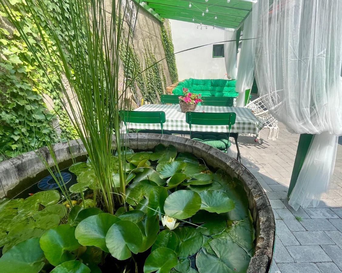 Ladislaus Schnaps-Haus Falusi Vendégház Csolnok Extérieur photo