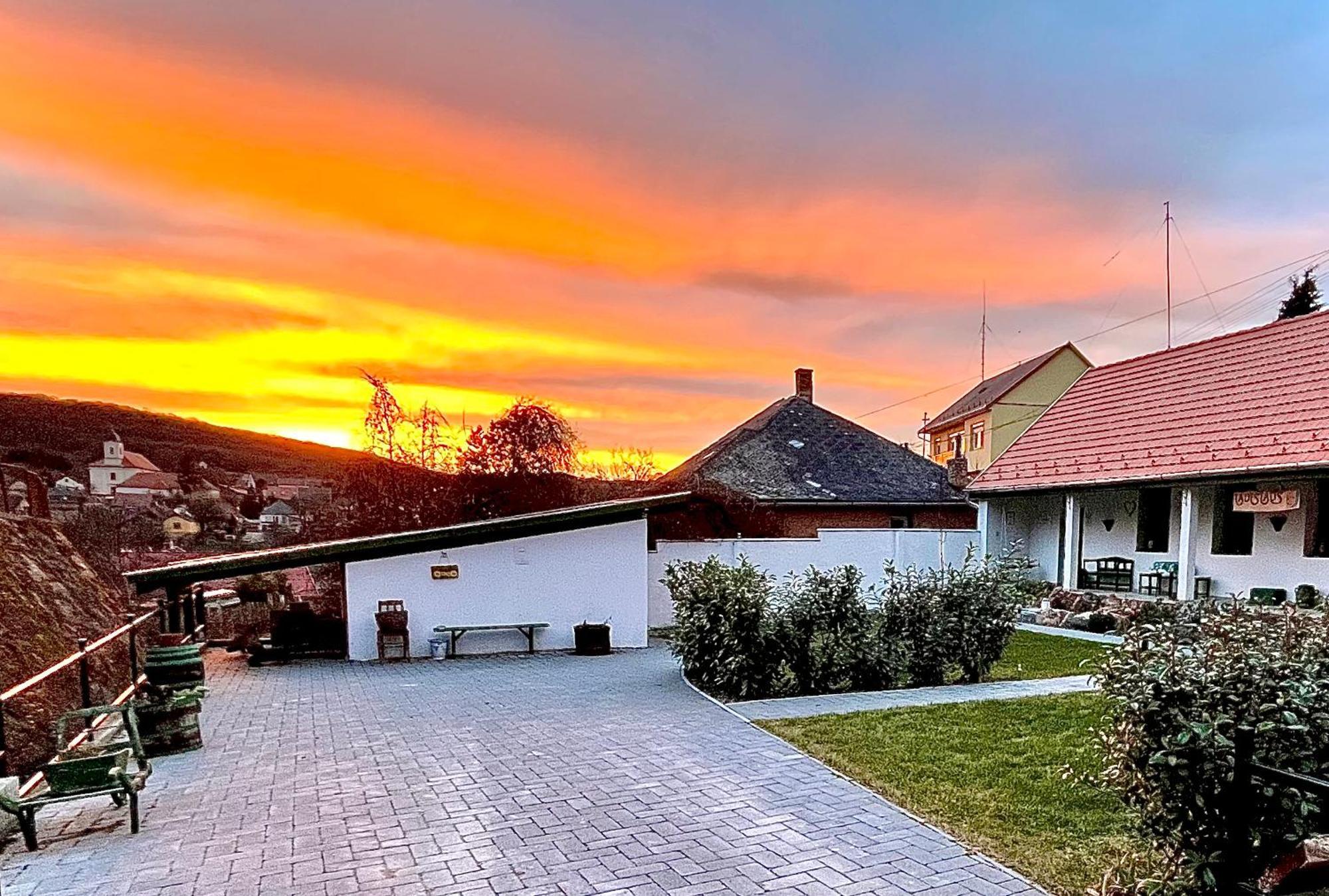Ladislaus Schnaps-Haus Falusi Vendégház Csolnok Extérieur photo